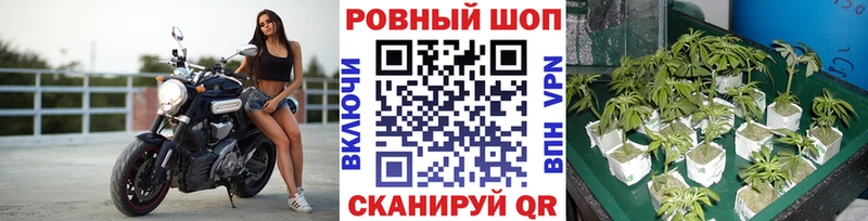 Магазины продажи наркотиков Камышлов АМФ ГАШИШ Каннабис Кокаин