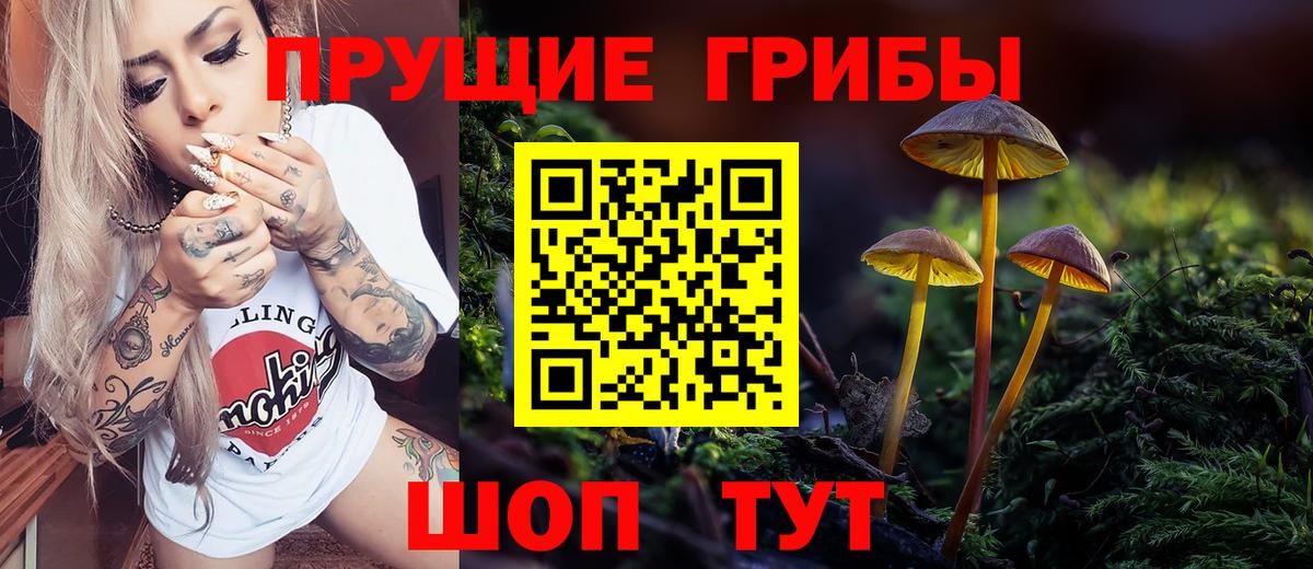 Псилоцибиновые грибы Psilocybine cubensis Камышлов
